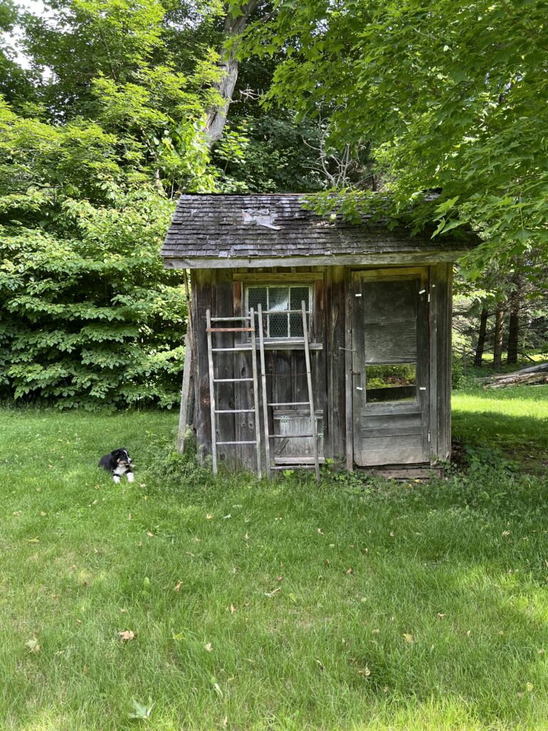 Chicken Coup