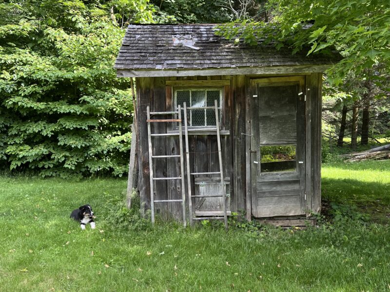 Chicken Coup